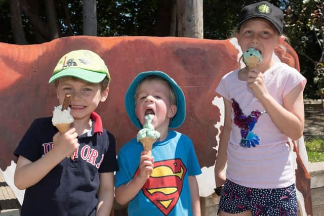 St Johns CEC Primary School Summer Fair in 2017  Picture Credit: Keith Woodland