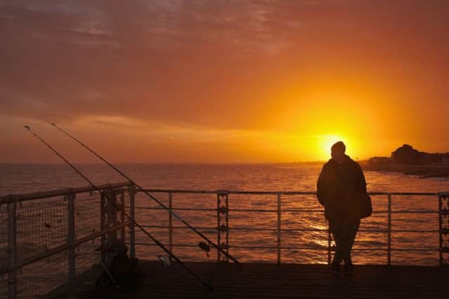 Havant Camera Club. The Waiting Game by Nigel Hayes.