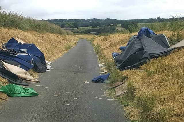 Fly-tipping in Nine Elms Lane, Portchester      Picture: Ursula Sturgess