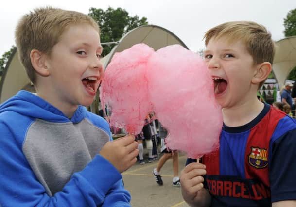 St John's Primary School Summer Fair. Brothers (left to right) Harrison Janowski (9) with Maximus Janowski (6) both are pupils at the school. Picture: Malcolm Wells (180616-4193)