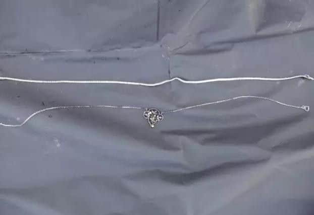 The two necklaces she was found wearing