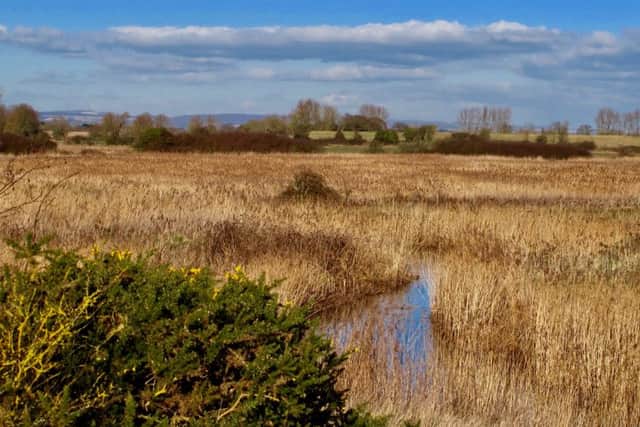 Pagham Harbour. By Diana Challen