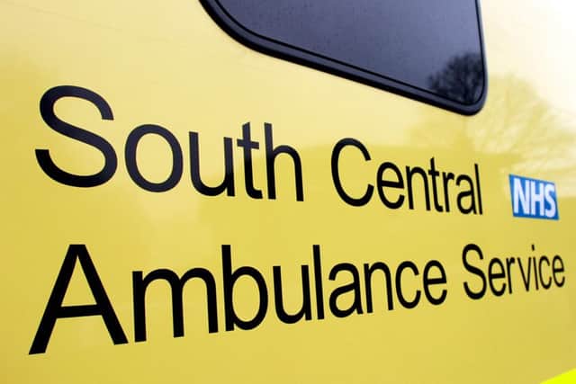 The South Central Ambulance logo. Picture: Johnston Press