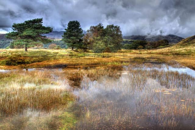 Hayling Camera Club June Hot weather images featuring water. Kelly Hall Tarn Lake District by Gary Kenmir