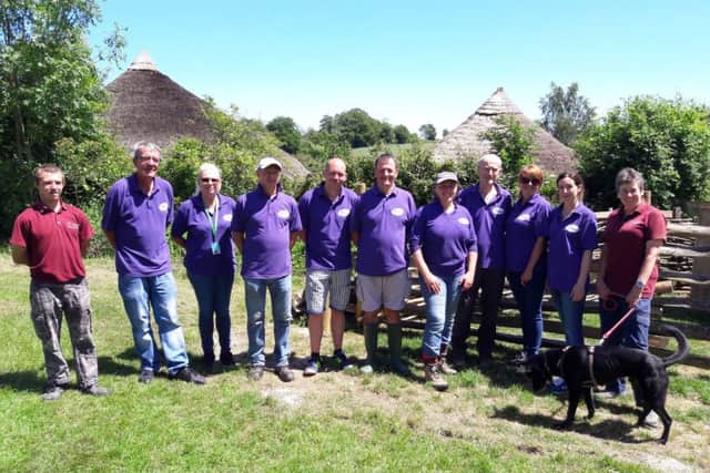A team from Pfizer, in Havant, helped at Butser Ancient Farm in Waterlooville, organised by Community First