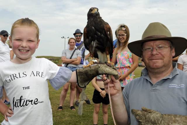 Millie Upfield from Waterlooville, 7, meets a bird of prey with handler Dennis Rogers from Denmead.Picture Ian Hargreaves  (180701-1_fun)