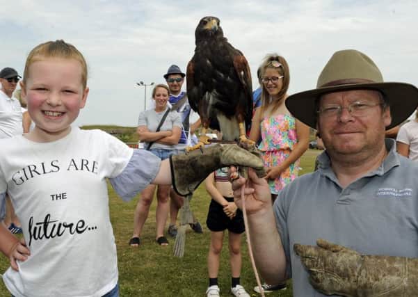 Millie Upfield from Waterlooville, 7, meets a bird of prey with handler Dennis Rogers from Denmead.
Picture Ian Hargreaves  (180701-1_fun)