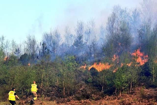 Firefighters have seen a spike in wild fires across Hampshire in the past month. Photo: Hampshire Fire and Rescue Service