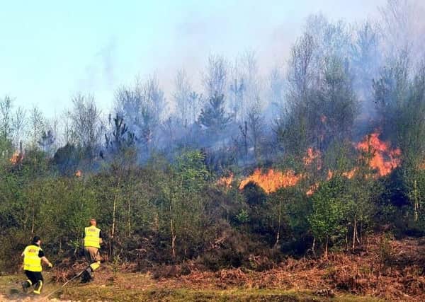 Firefighters have seen a spike in wild fires across Hampshire in the past month. Photo: Hampshire Fire and Rescue Service