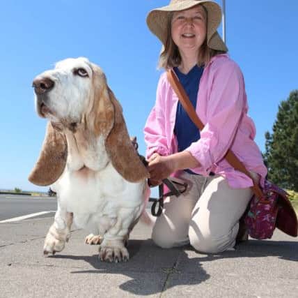 Penny Dodd with 'Lovely Dog' the dog.  People enjoying the sunshine on one of the hottest day of year.  Picture : Habibur Rahman