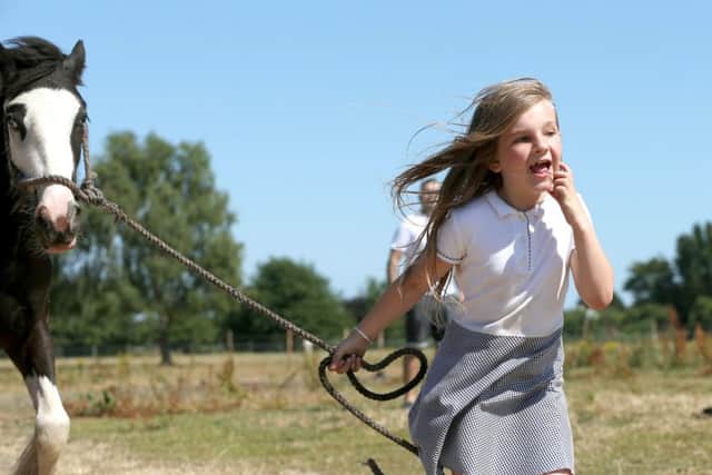 Tony Clements's daughter, Lola, seven, with Gypsy. They are pictured at Jim's Yard, Southbourne where the horses were attacked Picture: Chris Moorhouse