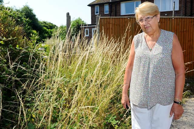Tina Sanger is fed up with the overgrown plot of council land next door to her in Drayton