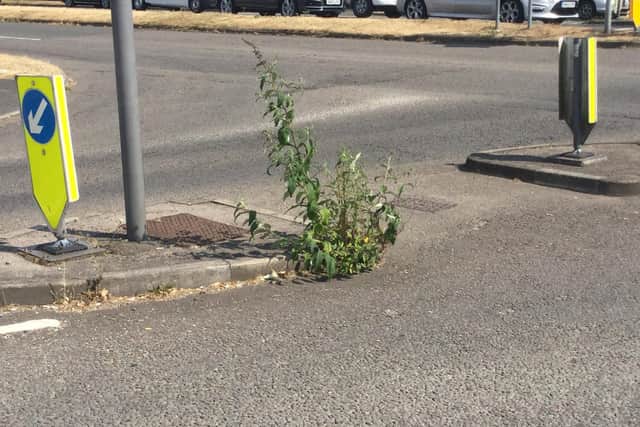 The Highlands Road junction with the A27 in Fareham is one of many areas affected by weeds. Picture: Fareham Borough Council