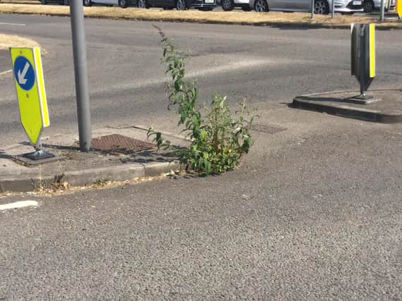 The Highlands Road junction with the A27 in Fareham is one of many areas affected by weeds. Picture: Fareham Borough Council