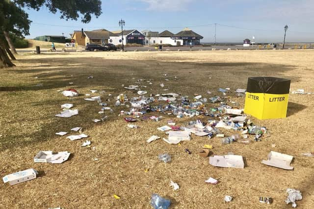 Southsea Common was covered in litter after the weekend, which saw the hottest day of the year so far. Picture: Jason Buckner