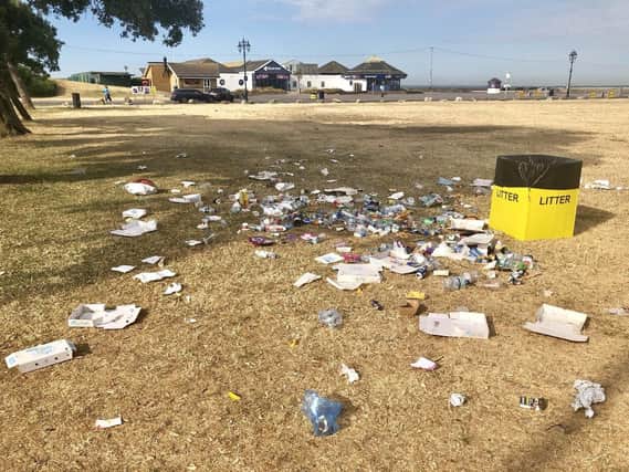 Southsea Common was covered in litter after the weekend, which saw the hottest day of the year so far. Picture: Jason Buckner