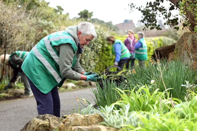 Maureen Gutkin, one of the Friends of Southsea Rock Gardens. Picture: Chris Moorhouse