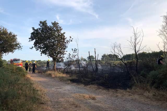 Firefighters battle the fire at Browndown on Wednesday evening. Picture: Portchester Fire Station on Twitter (@Portchester28)