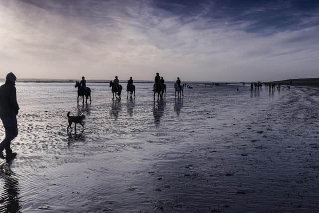 Horses command Hayling Island's coastline in this November photograph from Havant Camera Club member Carrie Davidson