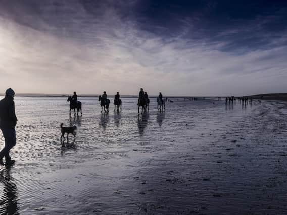 Horses command Hayling Island's coastline in this November photograph from Havant Camera Club member Carrie Davidson