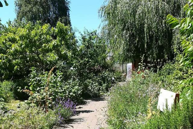 The Stacey Community Orchard, Copnor