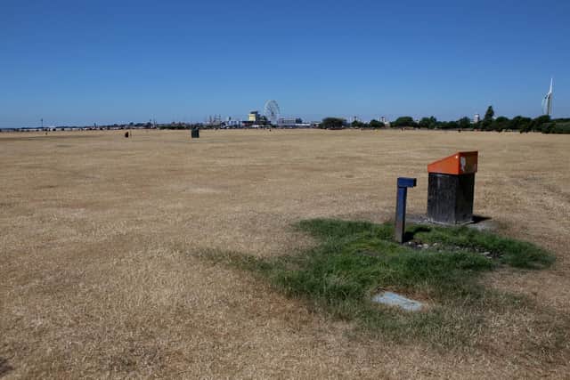 Sun-scorched grass at Southsea Common, Portsmouth. Picture: Habibur Rahman