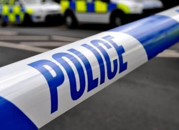 Allotments in Fareham were broken into