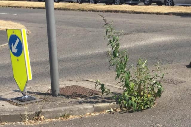The Highlands Road junction with the A27 in Fareham is one of many areas affected by weeds. Picture: Fareham Borough Council