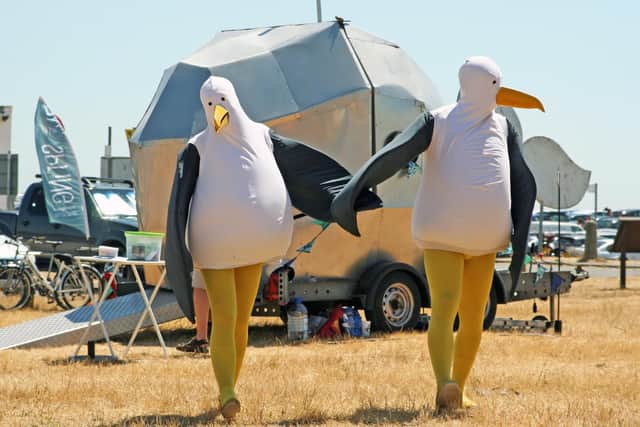The Giant Seagulls. Picture: The Spring