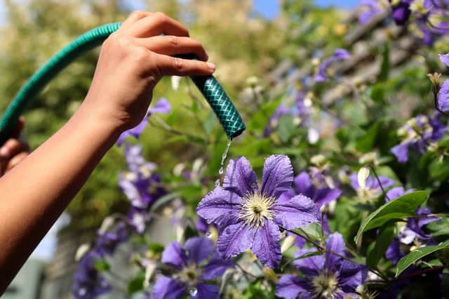 Millions of people are facing a hosepipe ban, but not in this part of the world.