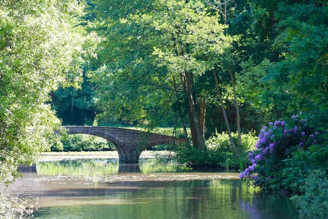 Staunton Country Park. Picture: Supplied