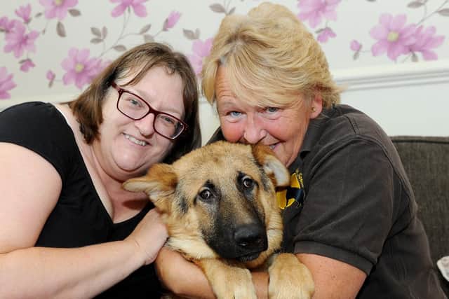 German Shepherd Rescue South launched an online fundraiser to get Alfie, a puppy they rescued, an operation to remove cataracts from his eyes. He has not been able to see properly from the day he was born seven months ago, but there were hopes an operation could change that.