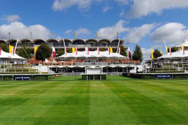 The sun came out as race-goers arrived for the first day of Glorious / Picture by Malcolm Wells