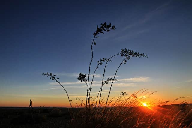 Stokes Bay in all its stunning glory. Picture: Martin Curtis