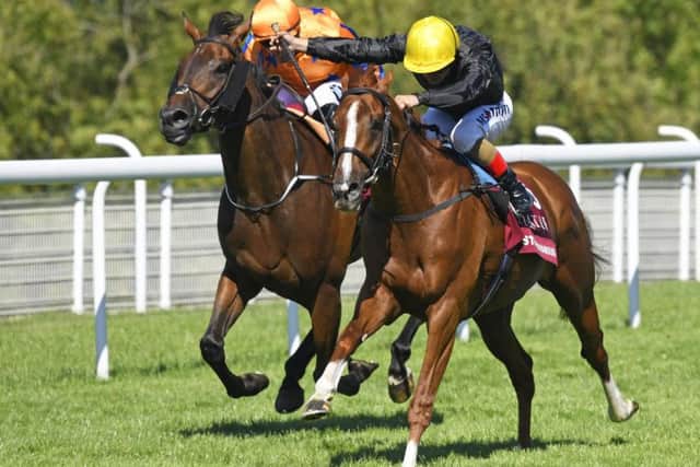 Stradivarius gets the better of Torcedor to win the Qatar Goodwood Cup / Picture by Malcolm Wells