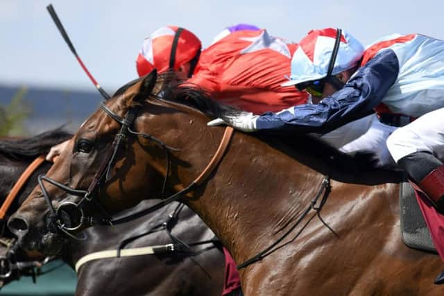 Sir Dancealot, nearest the camera, on his way to winning the Lennox Stakes / Picture by Malcolm Wells