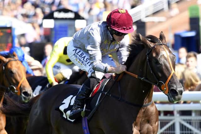 Watan wins on day one of the festival / Picture by Malcolm Wells