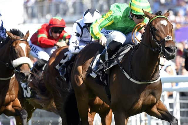 Feel Glorious does just that motoring towards the winning post / Picture by Malcolm Wells