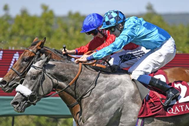 Pilaster, farthest from camera, gets up to beat Maid Up in the Lillie Langtry Stakes / Picture by Malcolm Wells