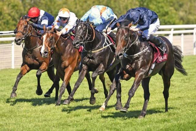 Ladies' Day action on the track at Goodwood / Picture by Malcolm Wells