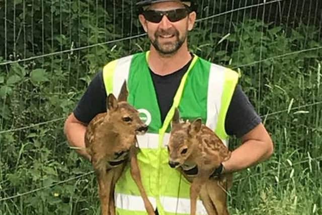 Dan Timm with the two fawns. Picture: Portsmouth City Council