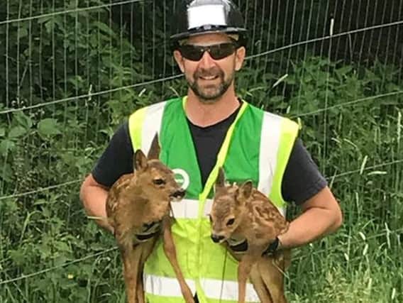 Dan Timm with the two fawns. Picture: Portsmouth City Council