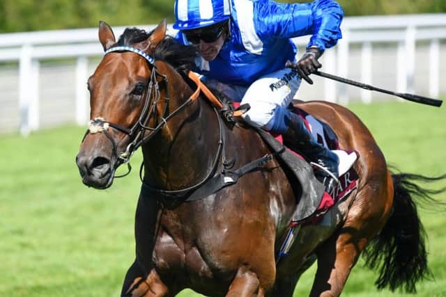 Battaash was Friday's star - who will be Saturday's? Picture by Malcolm Wells