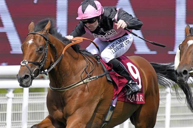 Sir Chauvelin wins the 100,000 Qatar Summer Handicap / Pictue by Malcolm Wells