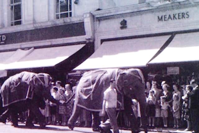Elephants from either Billy Smarts or Chipperfields circus parade along Commercial Road, Portsmouth.