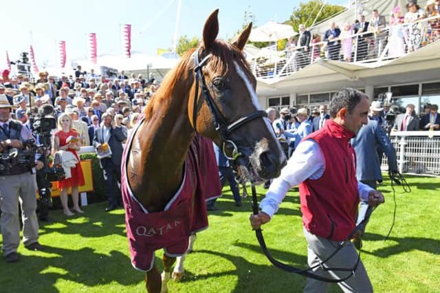 Stradivarius - winner of the Qatar Goodwood Cup for the second year in a row / Picture by Malcolm Wells