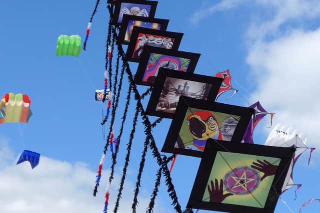 One of the kites from 2017 kite festival. Picture: Mick Young