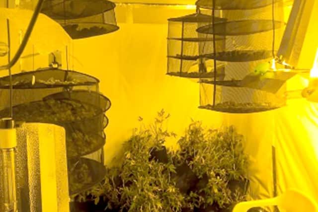 Mark Colwell, 35, now of Gladys Avenue, North End, was caught growing 75,000 worth of cannabis at his former home in Portchester. He was handed a suspended prison sentence for growing the class B drug and bypassing the electricity meter.  Picture: CPS Wessex