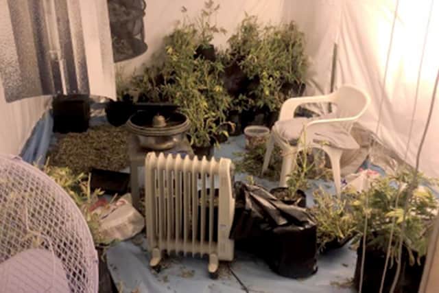 Mark Colwell, 35, now of Gladys Avenue, North End, was caught growing 75,000 worth of cannabis at his former home in Portchester. He was handed a suspended prison sentence for growing the class B drug and bypassing the electricity meter.  Picture: CPS Wessex