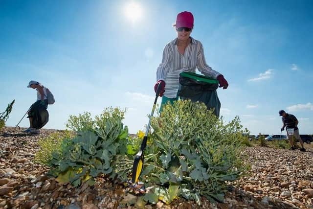 Volunteers from the Southern Co-operative tackle litter on Hayling Island beach
